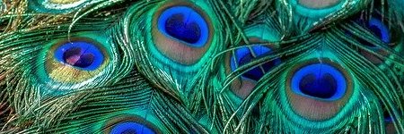 Energie update Blauwe Hand levenspad 25 april - 7 Mei 2020: Wat jij kunt betekenen voor de samenleving